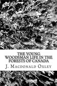 Young Woodsman Life in the Forests of Canada