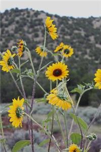 Yellow Sunflowers Growing Wild in the High Desert of New Mexico USA Journal