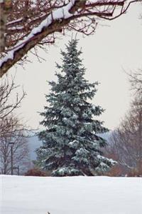A Wonderful Evergreen Tree in a Winter Forest Journal