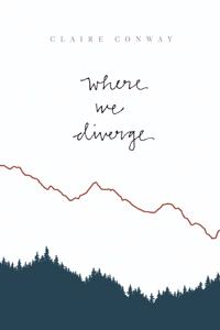Where We Diverge