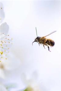 Bumble Bee and White Flowers Journal