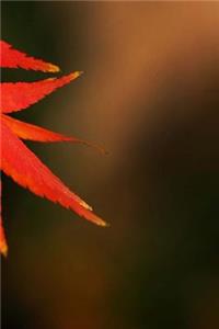 Maple Leaves Notebook