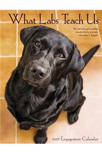 What Labs Teach Us 2019 Engagement Calendar (Dog Breed Calendar)