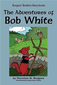 Adventures of Bob White