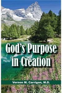 God's Creation in Purpose