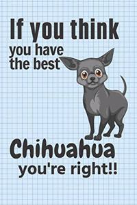 If you think you have the best Chihuahua you're right!!