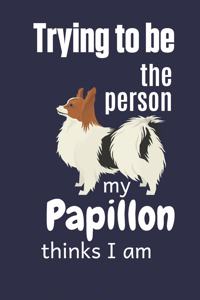 Trying to be the person my Papillon thinks I am