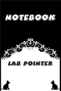 Lab Pointer Notebook