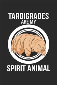 Tardigrades are my spirit animal