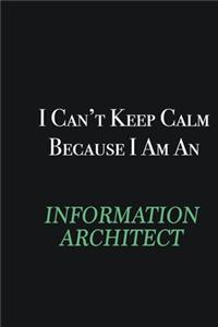 I cant Keep Calm because I am an Information Architect