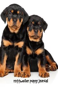 Rottweiler Puppy Journal