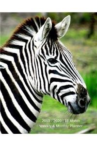 2019 - 2020 18 Month Weekly & Monthly Planner