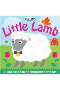 Pop Up Little Lamb