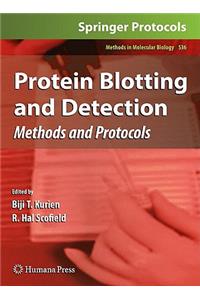 Protein Blotting and Detection