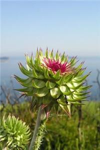 Thistle Notebook