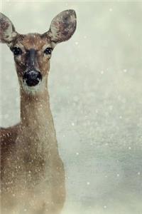 Deer Notebook