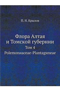 Флора Алтая и Томской губернии