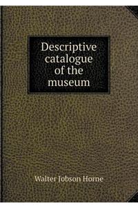 Descriptive catalogue of the museum