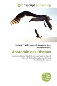 Anatomie Des Oiseaux