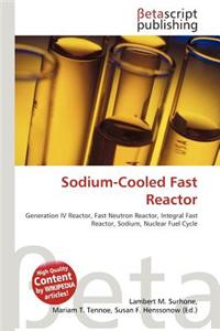 Sodium-Cooled Fast Reactor