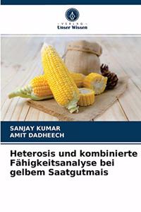 Heterosis und kombinierte Fähigkeitsanalyse bei gelbem Saatgutmais