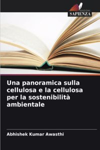 panoramica sulla cellulosa e la cellulosa per la sostenibilità ambientale