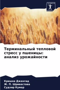 Терминальный тепловой стресс у пшеницы