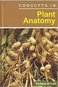 Concepts in Plant Anatomy