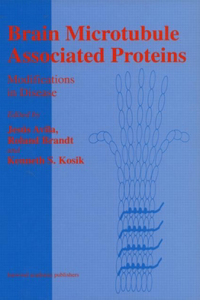 Brain Microtuble Associated Proteins