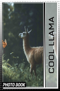 Cool Llama Photo Book
