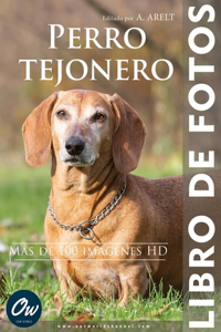 Perro tejonero