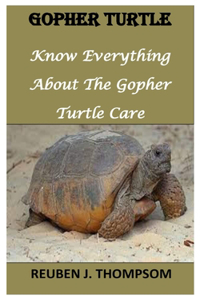 Gopher Turtle
