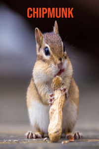 Chipmunk