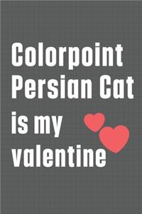 Colorpoint Persian Cat is my valentine