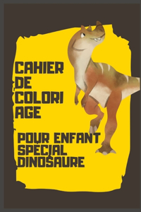 Cahier de coloriage pour enfant spécial DINOSAURE
