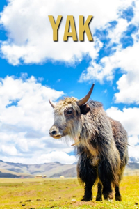 Yak: Fun Learning Facts About Yak