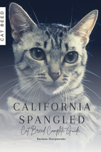 California Spangled: Cat Breed Complete Guide