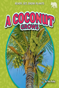 Coconut Grows