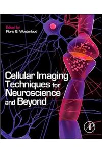 Cellular Imaging Techniques for Neuroscience and Beyond