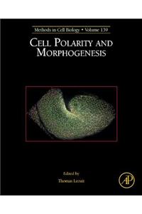 Cell Polarity and Morphogenesis