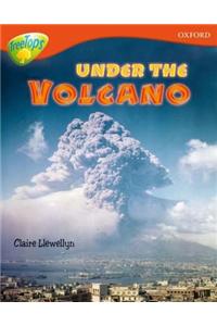 Oxford Reading Tree: Level 13: Treetops Non-Fiction: Under the Volcano