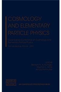 Cosmology and Elementary Particle Physics