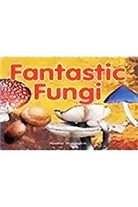 Rigby Focus Early Fluency: Leveled Reader Bookroom Package Nonfiction (Levels I-N) Fantastic Fungi