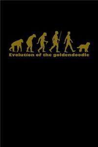 Evolution of Goldendoodle