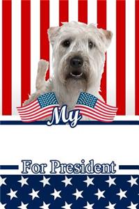 My Soft Coated Wheaten Terrier for President