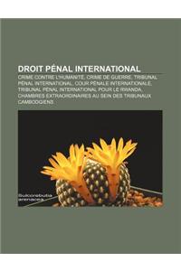 Droit Penal International