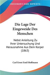 Lage Der Eingeweide Des Menschen