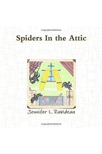 Spiders in the Attic