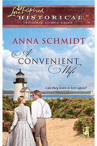 A Convenient Wife