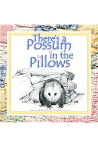 There's a Possum in the Pillows